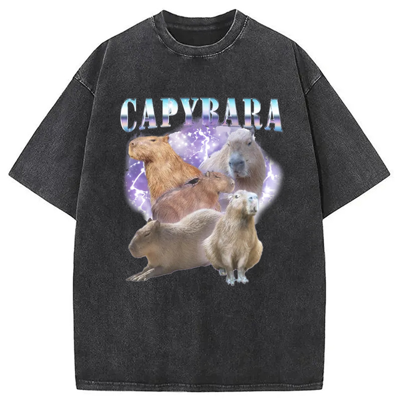 Modecanvas Vintage Capybara Washed T-Shirt