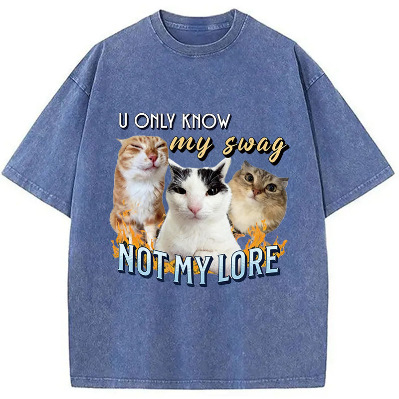Modecanvas Funny Y2K Cat Meme DTG Printing Washed T-Shirt
