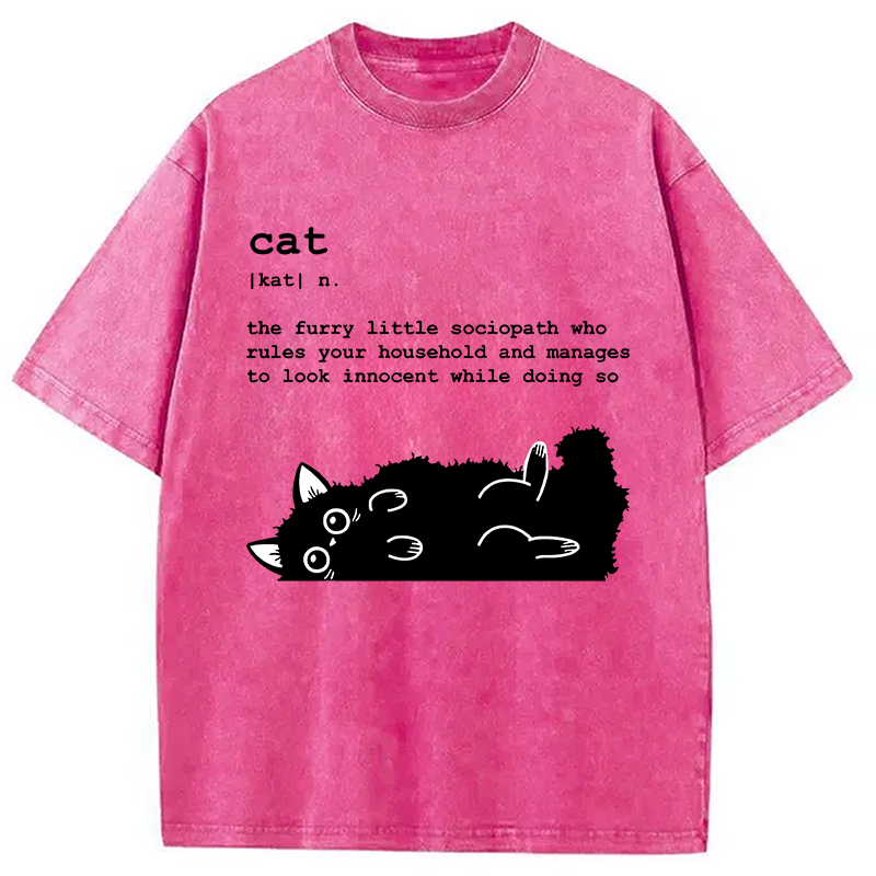 Modecanvas Definition Of Cat Funny Washed T-Shirt