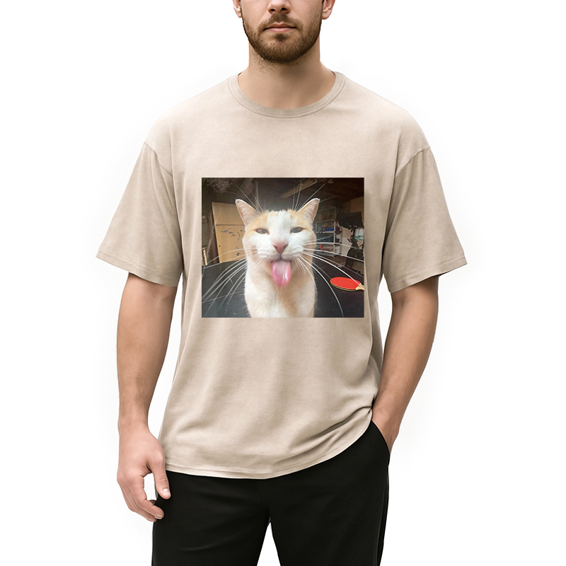 Modecanvas Silly Bleh Funny Cat Meme DTG Printing Washed T-Shirt