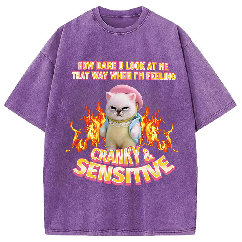 Modecanvas Cranky Kitty DTG Printing Washed T-Shirt
