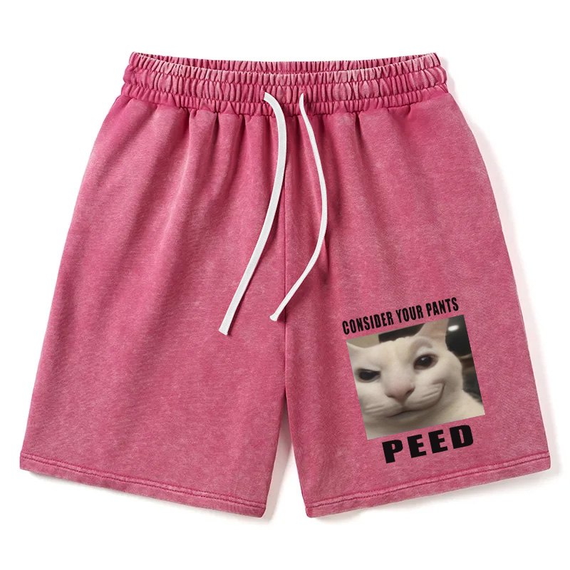 Modecanvas Consider Your Pants Peed Meme Washed Short