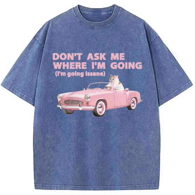 Modecanvas Im Going Insane Cat Meme DTG Printing Washed T-Shirt