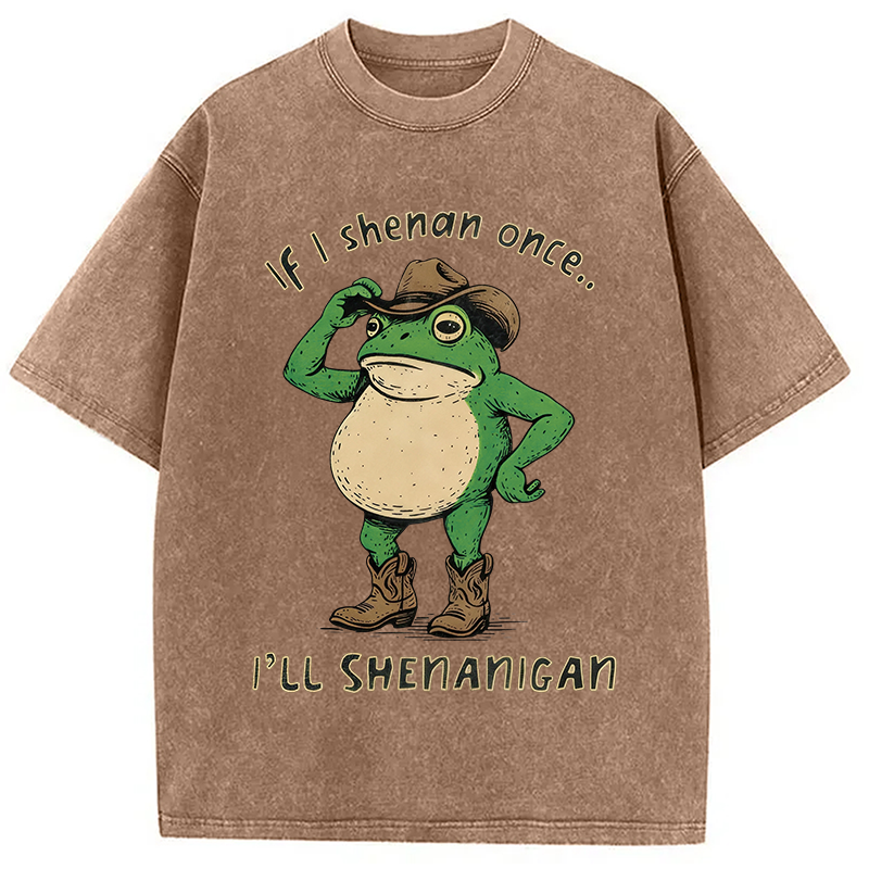 Modecanvas If I Shenan Once Funny Meme Washed T-Shirt-modecanvas