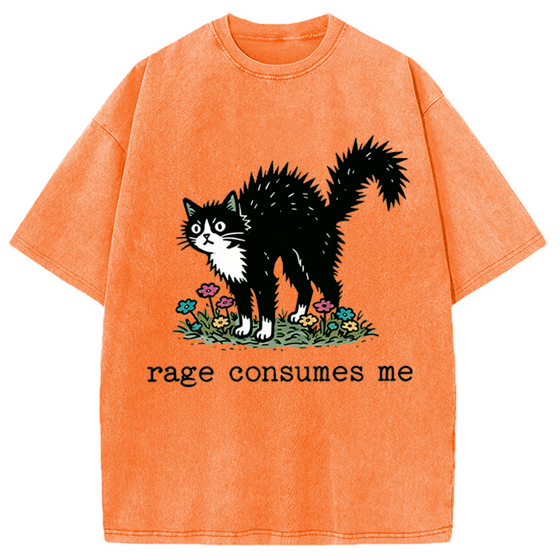 Modecanvas Angry Tuxedo Cat DTG Printing Washed T-Shirt