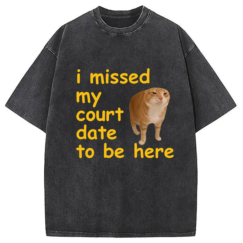 Modecanvas I Missed My Court Date To Be Here DTG Printing Washed T-Shirt-modecanvas