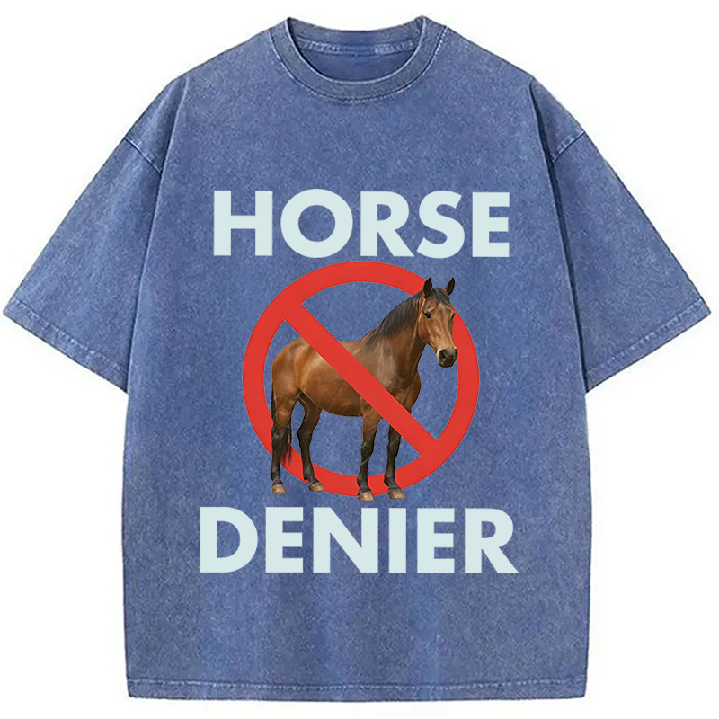 Modecanvas Funny Horse Denier Conspiracy Theory Washed T-Shirt-modecanvas