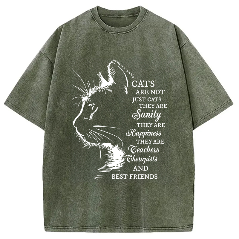 Modecanvas Cat Best Friend DTG Printing Washed T-Shirt