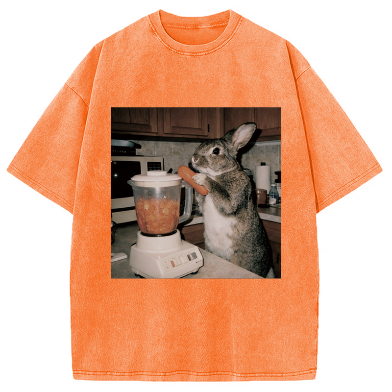 Modecanvas Rabbit Carrot Shake DTG Printing Washed T-Shirt