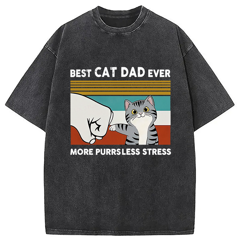 Modecanvas Funny Cat Dad Washed T-Shirt