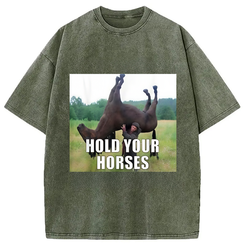 Modecanvas Hold Your Horses Funny Meme Washed T-Shirt