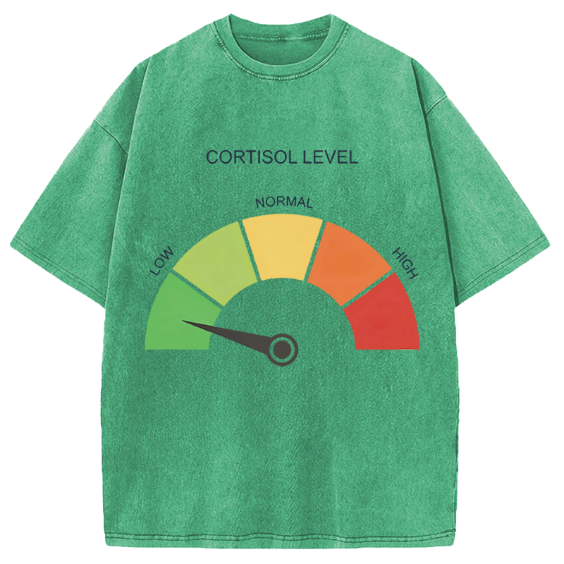 Modecanvas Cortisol Level Meme DTG Printing Washed T-Shirt