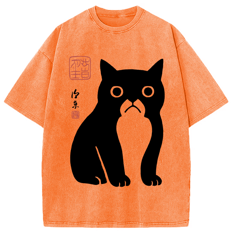 Modecanvas Funny Zen Cat Meme Washed T-Shirt