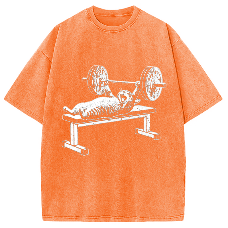 Modecanvas Funny Cat Gym DTG Printing Washed T-Shirt