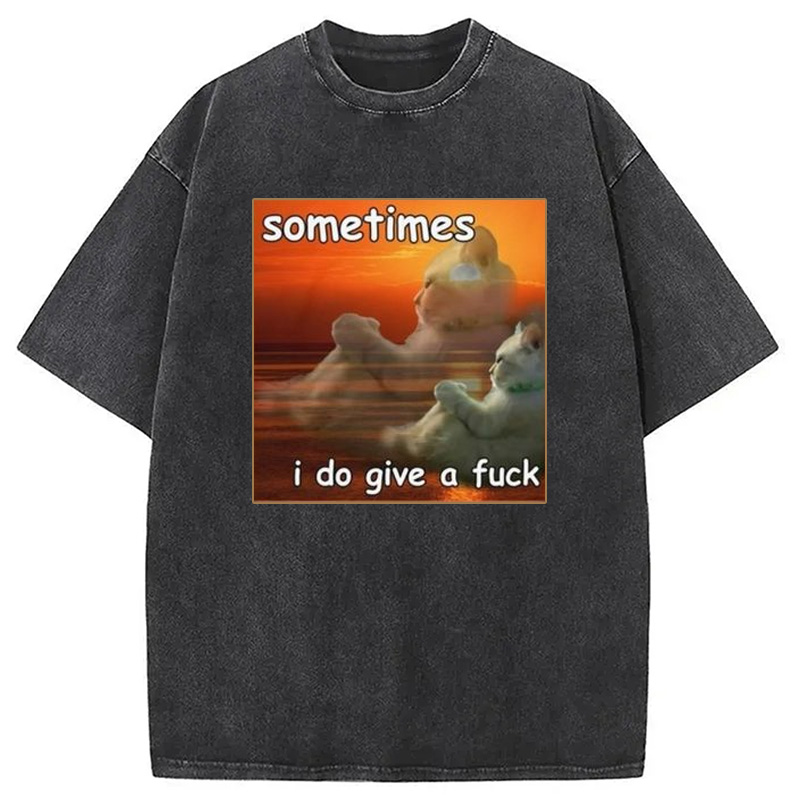 Modecanvas Sometimes I Do Give A Fxck Meme Washed T-Shirt