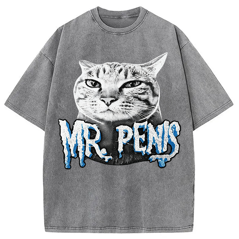 Modecanvas Mr Pen is Cat DTG Printing Washed T-Shirt