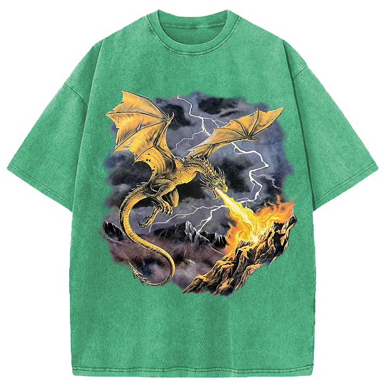 Modecanvas Vintage Dragon DTG Printing Washed T-Shirt