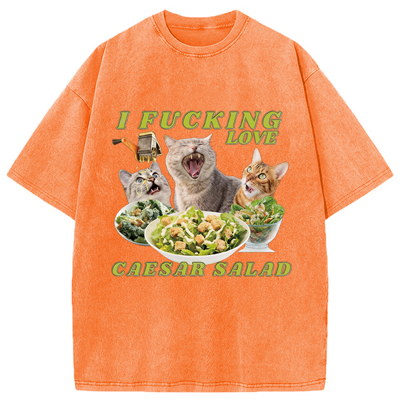 Modecanvas I Fucking Love Caesar Salad Cat Meme DTG Printing Washed T-Shirt