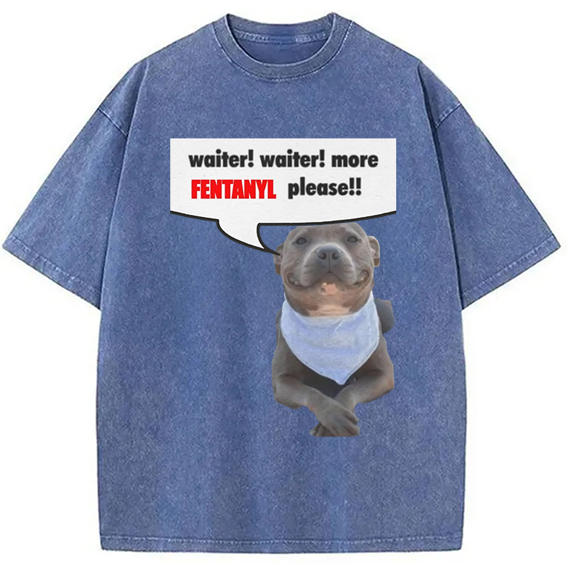 Modecanvas Waiter Waiter More Fentanyl Meme Washed T-Shirt