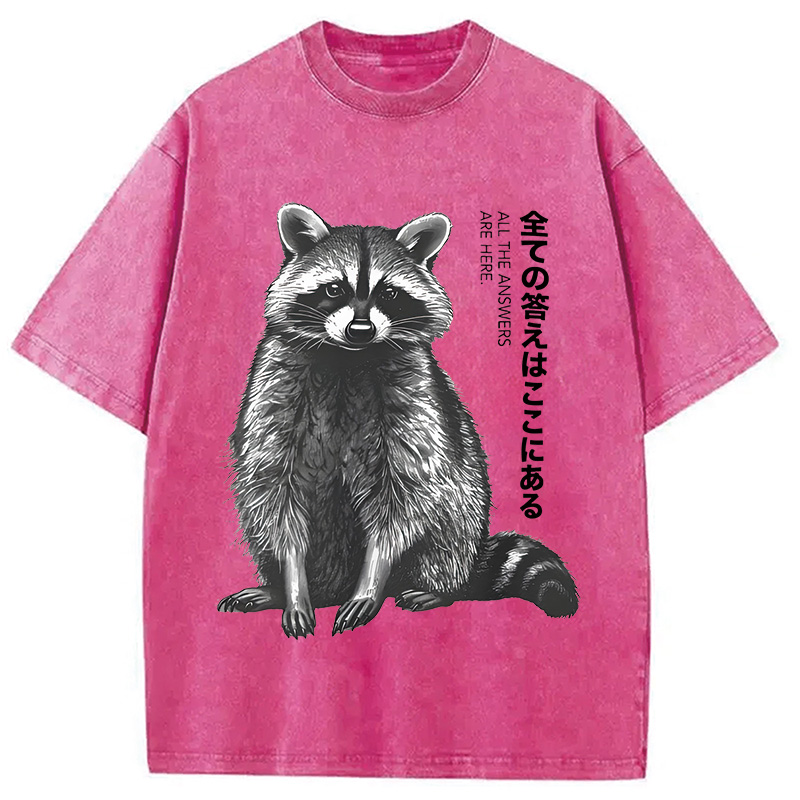 Modecanvas Funny Kawaii Raccoon Washed T-Shirt
