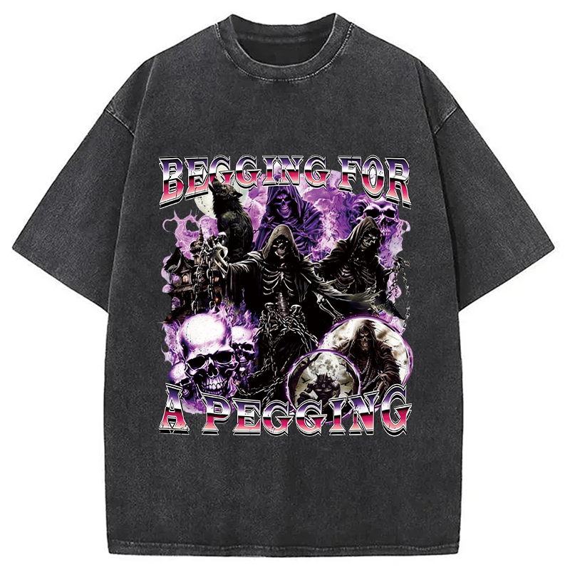 Modecanvas Begging for a Pegging Meme Washed T-Shirt
