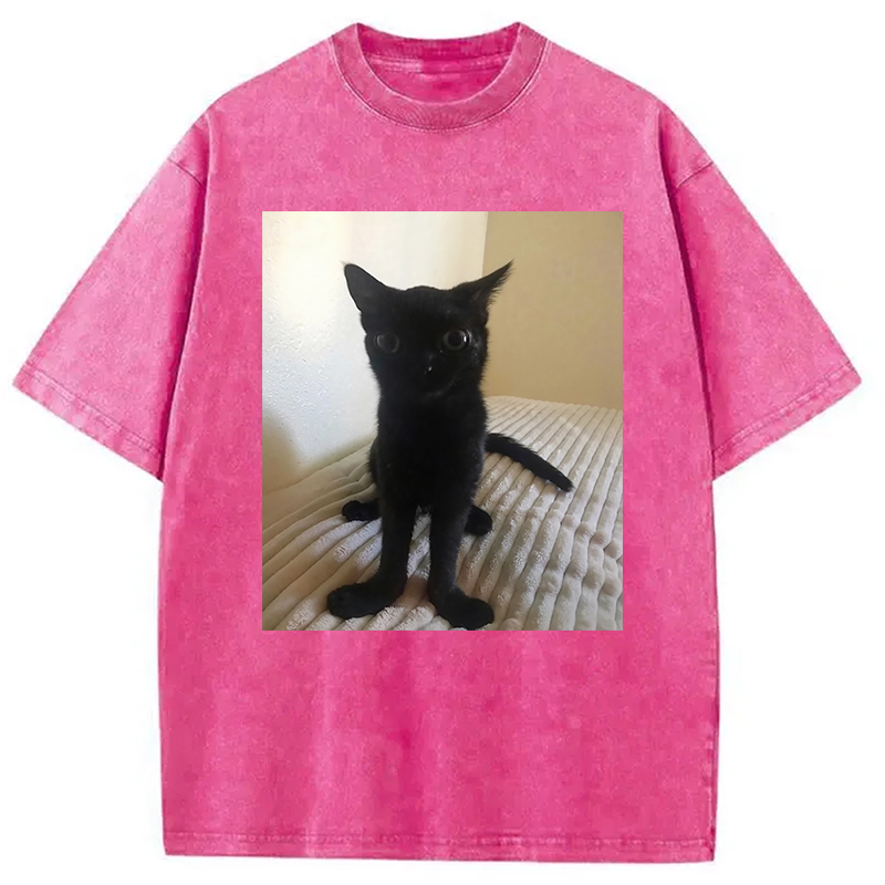 Modecanvas Big Foot Jinx Black Cat Washed T-Shirt