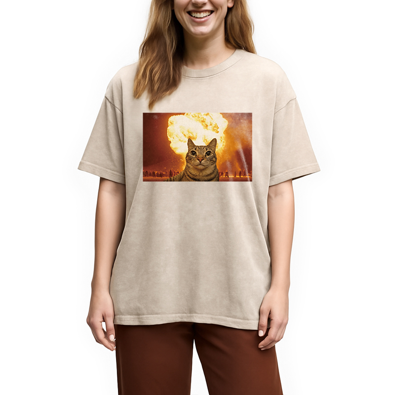 Modecanvas Cat Explosion Brain Rot DTG Printing Washed T-Shirt