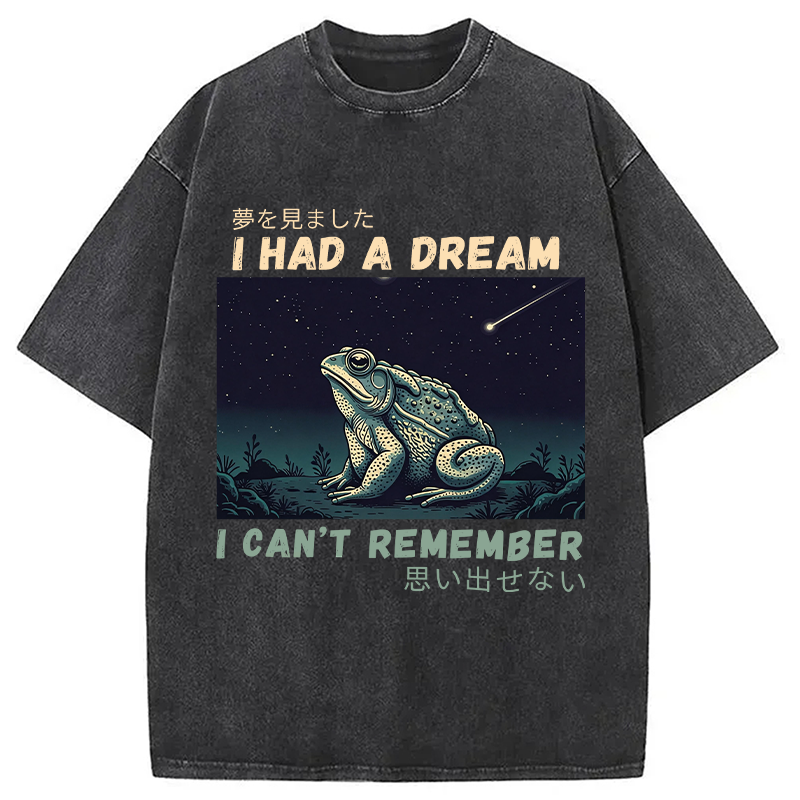 Modecanvas I Had A Dream Toad DTG Printing Washed T-Shirt