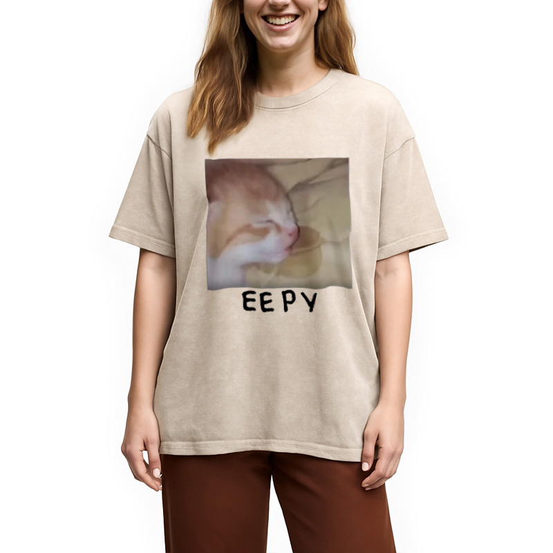 Modecanvas Eepy Kitty Meme Washed T-Shirt
