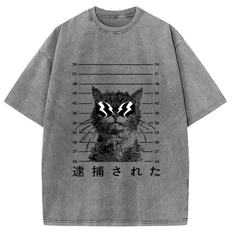 Modecanvas Cat Was Arrested  Washed T-Shirt