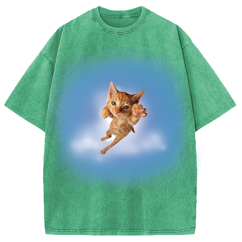 Modecanvas Pounce? More Like flounce DTG Printing Washed T-Shirt