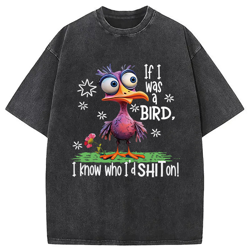 Modecanvas If I Was A Bird DTG Printing Washed T-Shirt