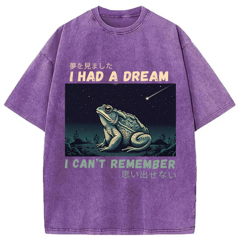 Modecanvas I Had A Dream Toad DTG Printing Washed T-Shirt