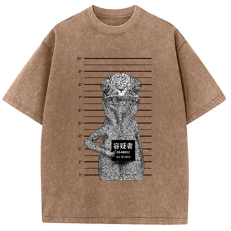 Modecanvas Suspect Lizard Washed T-Shirt