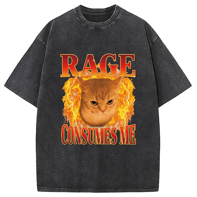 Modecanvas Rage Consumes Me Edgy Funny Cat Meme Washed T-Shirt-modecanvas