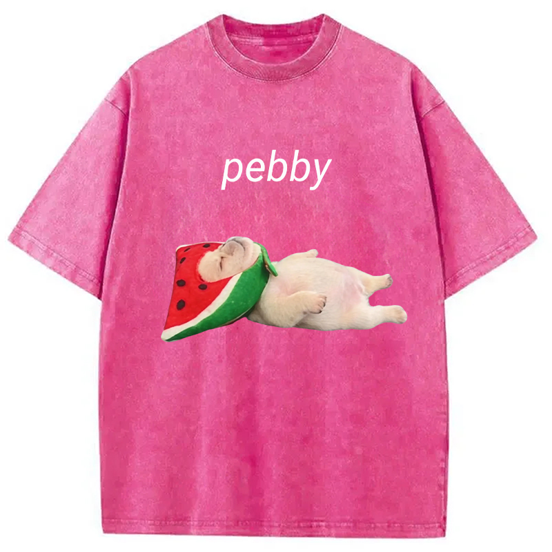 Modecanvas Funny Pibble Dog Meme DTG Printing Washed T-Shirt