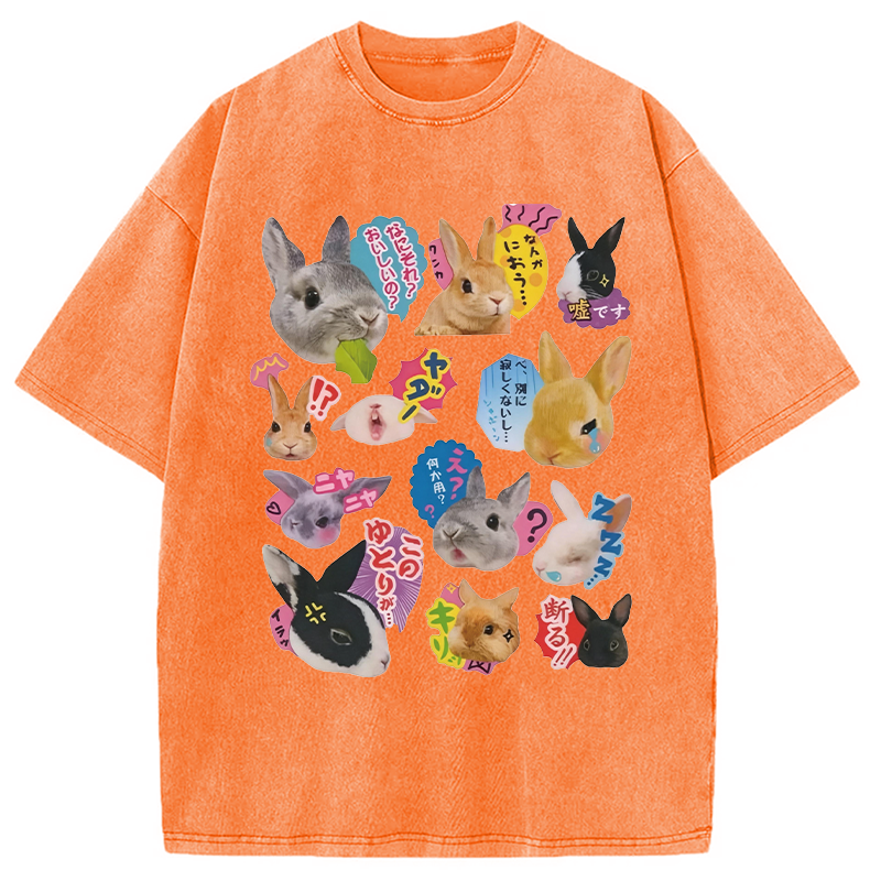 Modecanvas Japanese Bunny DTG Printing Washed T-Shirt