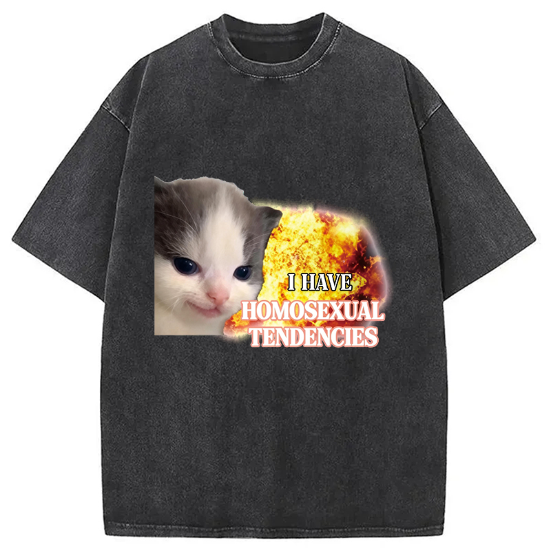 Modecanvas I Have Homosexual Tendencies Evil Kitty Meme DTG Printing Washed T-Shirt