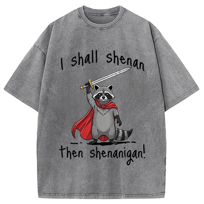Modecanvas I Shall Shenan Cute Raccoon Meme DTG Printing Washed T-Shirt
