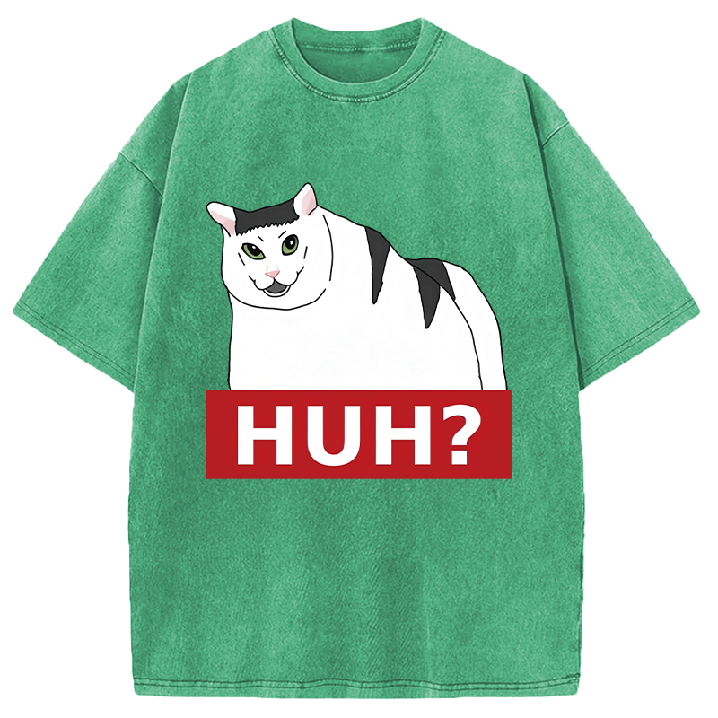 Modecanvas Huh Cat Meme DTG Printing Washed T-Shirt