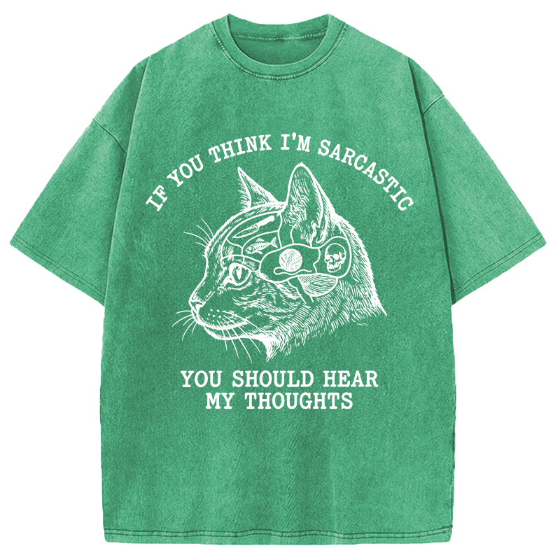 Modecanvas Sarcastic Thoughts Funny Cat DTG Printing Washed T-Shirt