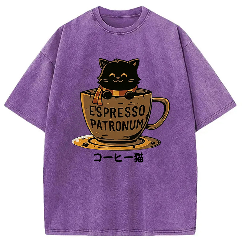 Modecanvas Cat In A Coffee Cup Washed T-Shirt