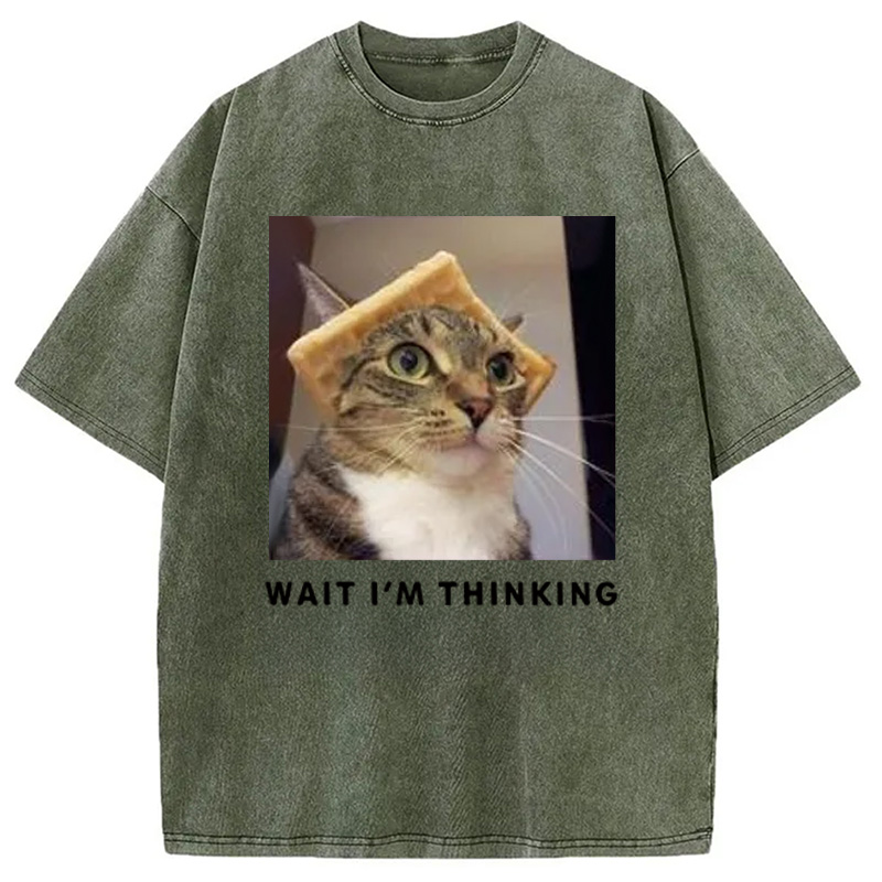 Modecanvas Wait Im Thinking Meme Washed T-Shirt