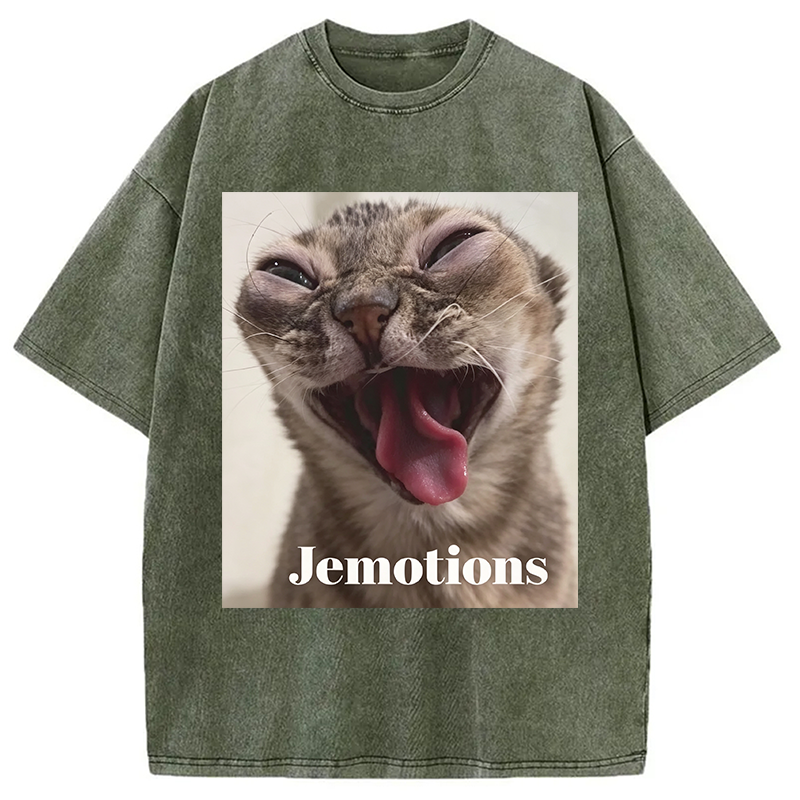 Modecanvas Jemotions Cat Meme DTG Printing Washed T-Shirt