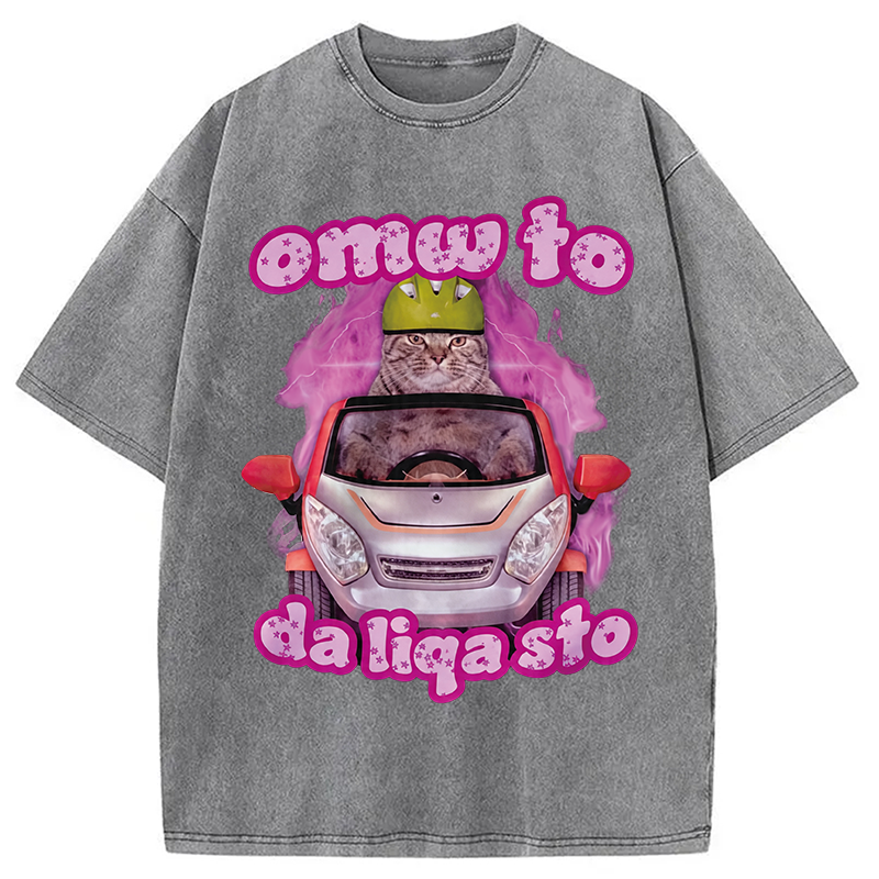 Modecanvas Only The Will To Funny Cat Meme DTG Printing Washed T-Shirt
