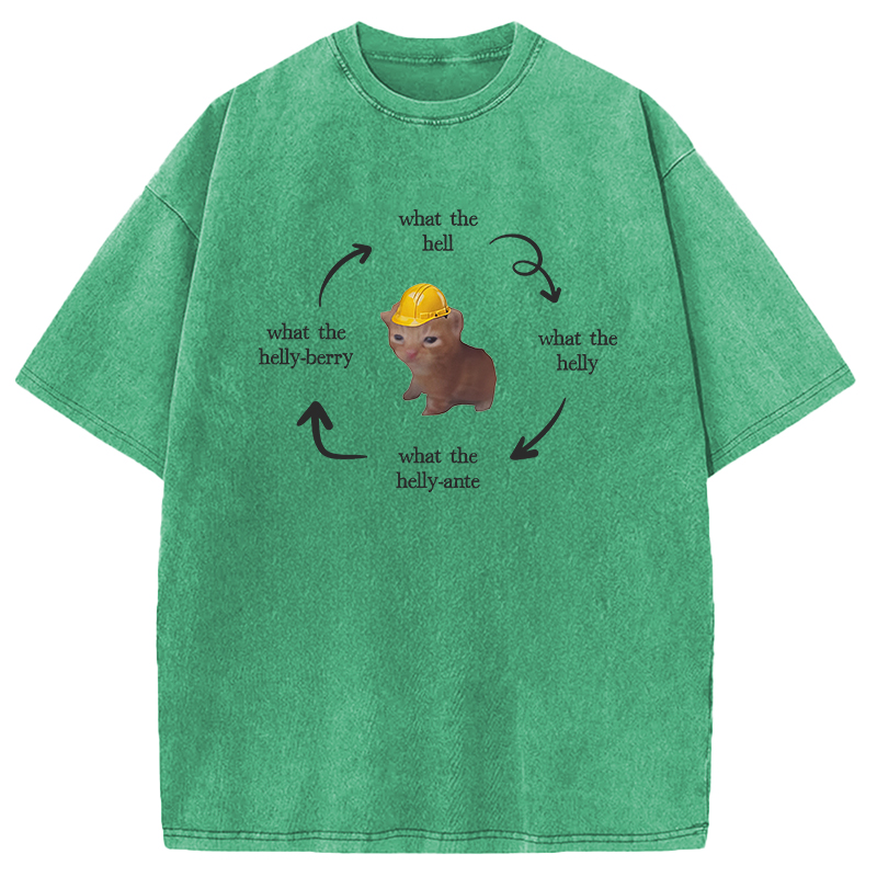Modecanvas What The Helly Funny Cat Meme DTG Printing Washed T-Shirt