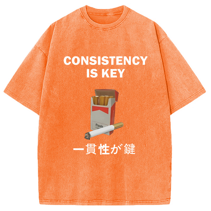 Modecanvas Consistency Is Key Cigarette Washed T-Shirt