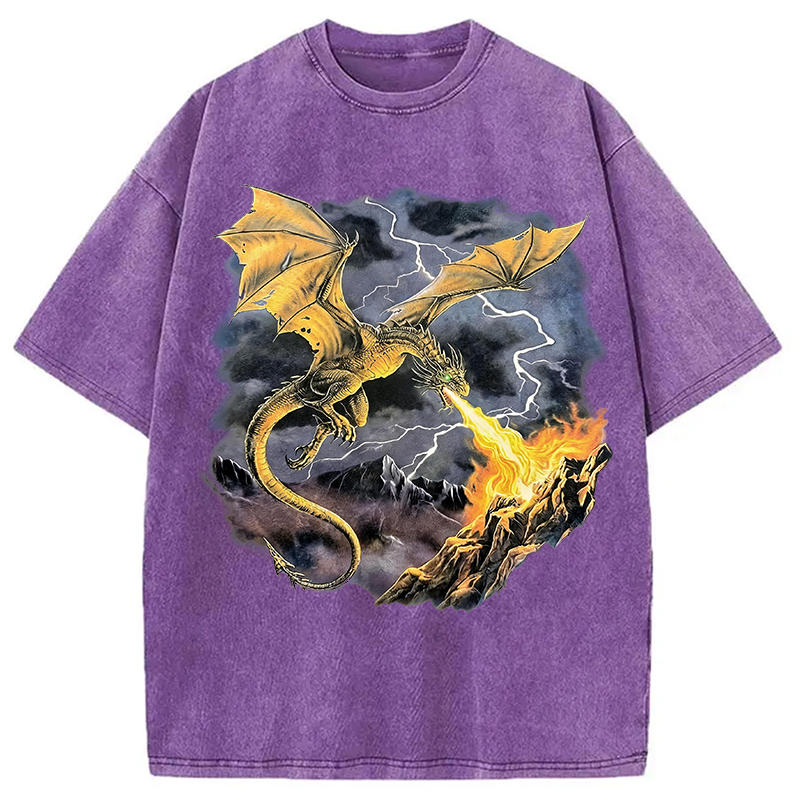 Modecanvas Vintage Dragon DTG Printing Washed T-Shirt