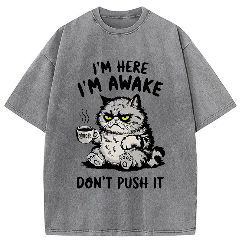 Modecanvas Tired Cat Washed T-Shirt