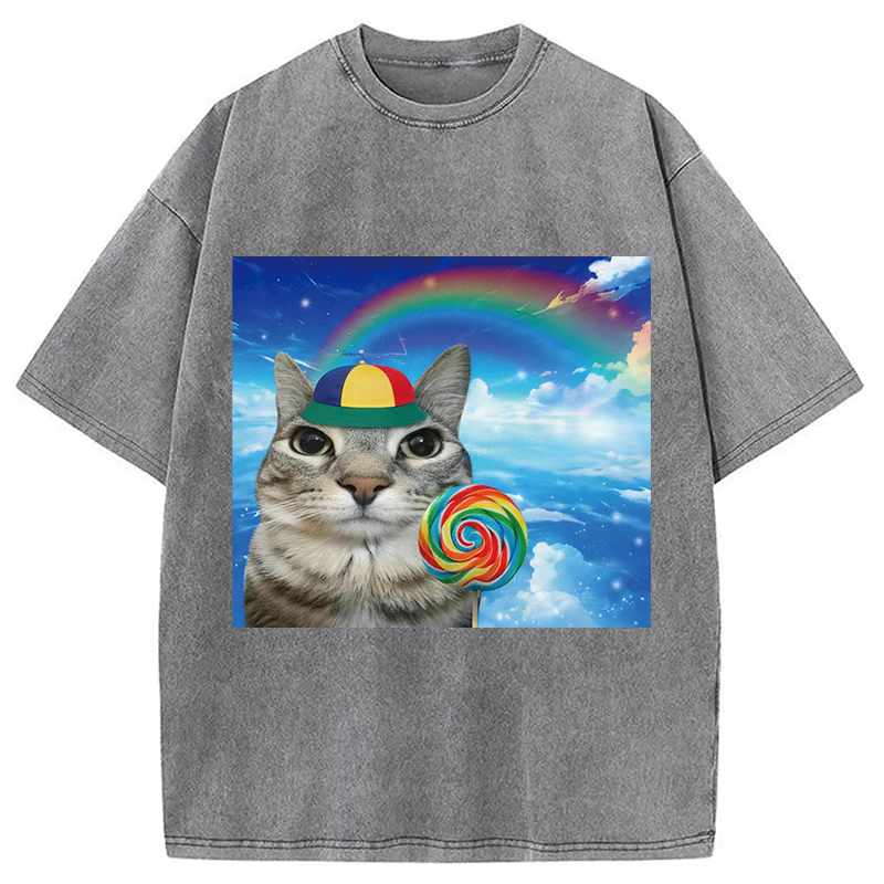 Modecanvas Wholesome Rainbow Cat DTG Printing Washed T-Shirt